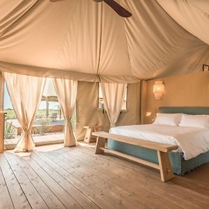 Tenda standard
