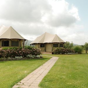 Superior  Tent